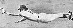 Graig Nettles